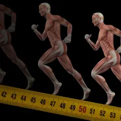 Anatomia biegu: zobacz, jakie mięśnie pracują przy bieganiu, od stóp po tułów. Mięśnie nóg i brzucha w akcji.