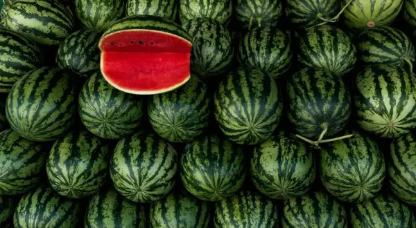 Stos świeżych arbuzów, jeden przekrojony, ukazujący soczysty czerwony miąższ. Zastanawiasz się, ile kcal ma arbuz?