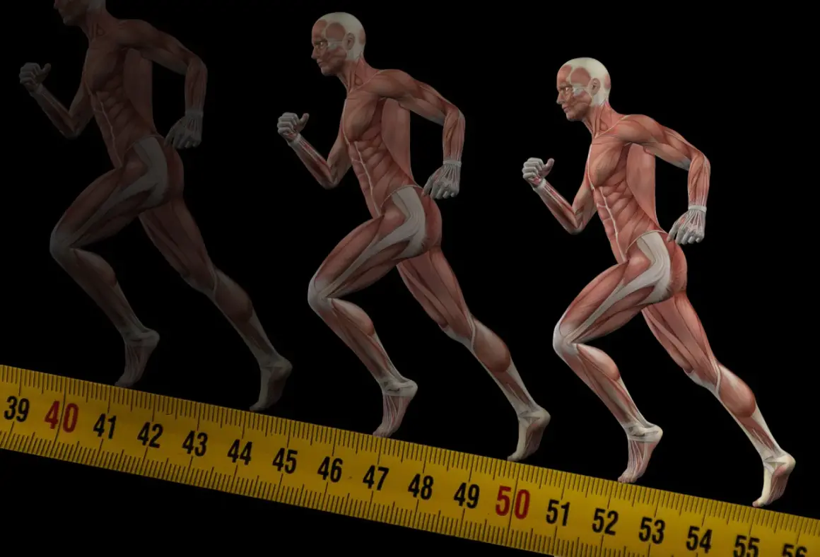 Anatomia biegu: zobacz, jakie mięśnie pracują przy bieganiu, od stóp po tułów. Mięśnie nóg i brzucha w akcji.