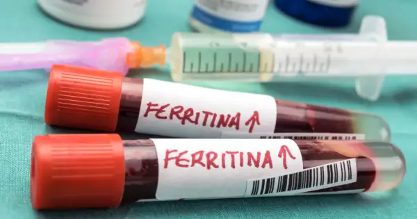 Dwie probówki z krwią oznaczone "Ferritina" i strzałką w górę, sugerującą podwyższony poziom, obok strzykawki.